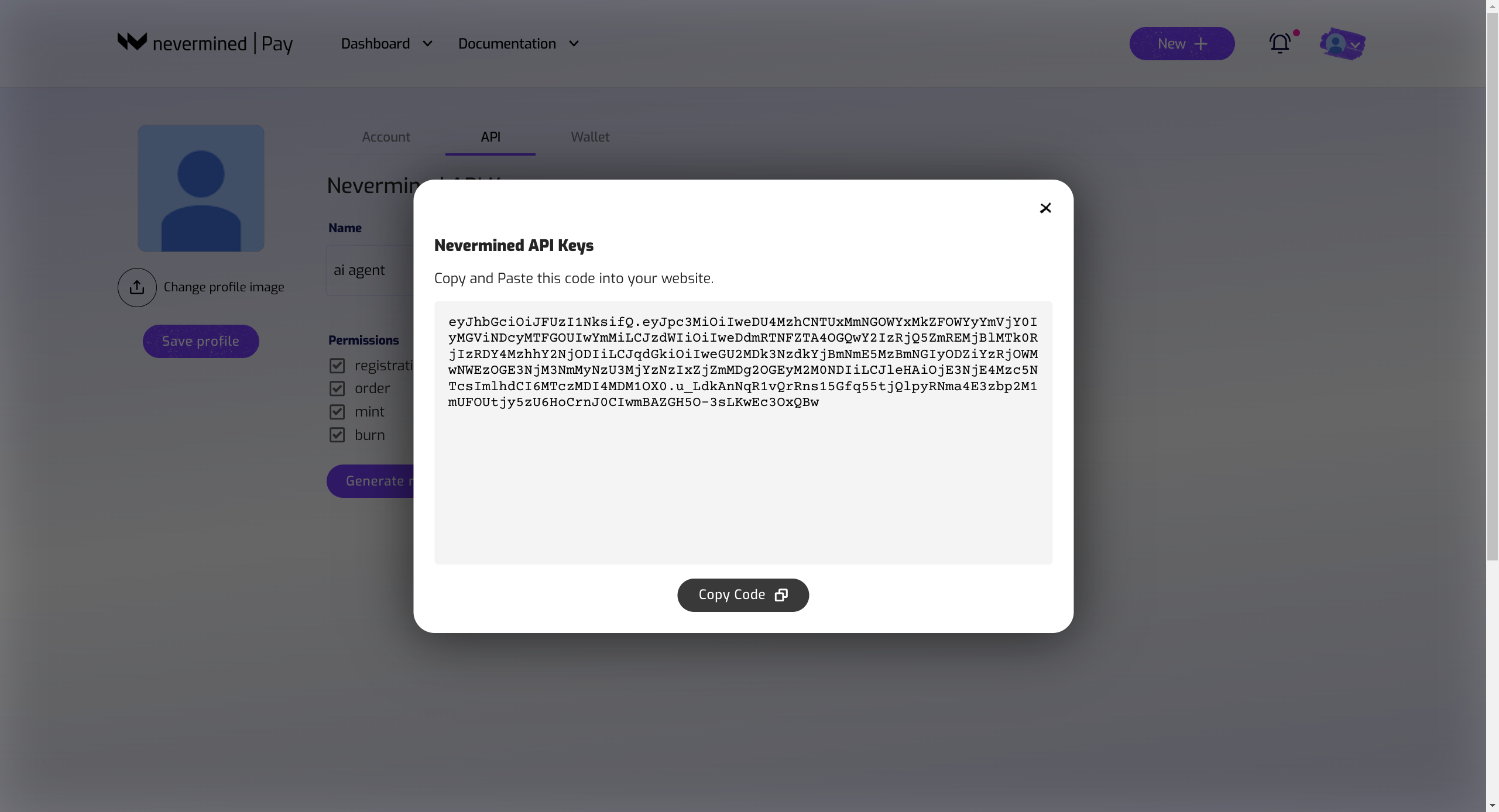 Copy Nevermined API Key